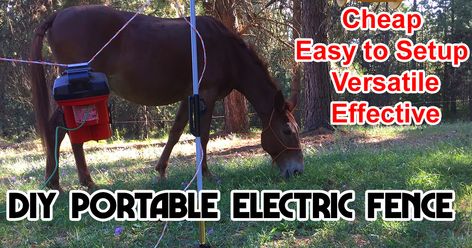 DIY Portable Electric Fence - TrailMeister Solar Electric Fence, Earthing Grounding, Gate Handles, Horse Camp, Wire Fence, Electric Fence, Dog Fence, Fence Post, Horse Stuff