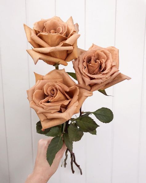 Toffee Rose Centerpiece, Toffee Roses Wedding, Toffee Rose Bouquet, Toffee Rose, Toffee Roses, Brown Roses, Boho Florals, Mix Baby Girl, Taylor Wedding