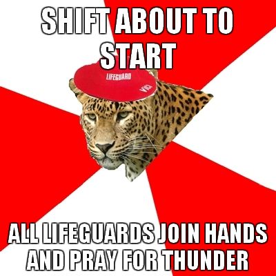 Lifeguard Leopard! Pray for thundah! Lifeguard Problems, Lifeguard Memes, Lifeguard Quotes, Leopard Photo, Boring Job, Pool Life, Swim Life, Summer Jobs, Work Memes