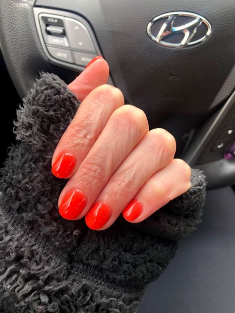 Blood Orange Nails, Red Orange Nails, Round Nails, Nail Tattoo, Take My Money, Orange Nails, Blood Orange, Mani Pedi, Orange Color