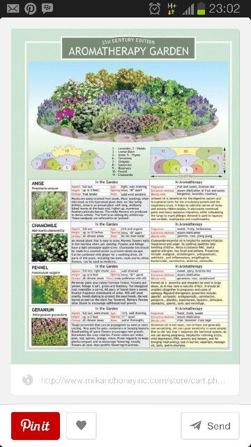 * Therapy Garden, Country Garden Landscaping, Healing Garden, Sensory Garden, Aroma Therapy, Landscaping Tips, Garden Care, Fashion Diy, Garden Cottage