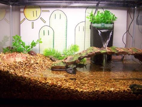 Pet Turtle Care, Turtle Cage, Aquatic Turtle Tank, Turtle Tank Setup, Turtle Enclosure, Turtles Pet, Turtle Terrarium, Frog Habitat, Turtle Aquarium