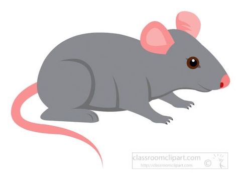 Rat Clipart, Rat Cartoon, Mouse Vector, Mazes For Kids Printable, Troom Troom, Mouse Clipart, Classroom Clipart, Funny Rats, Funny Mouse