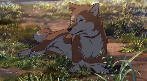 Brown Aesthetic Discord Banner Gif, Animated Banner Gif, Beige Gif, Anime Scenery Gif, Brown Aesthetic Gif, Dog Banner, Animal Animation, Scenery Aesthetic, Gifs Anime