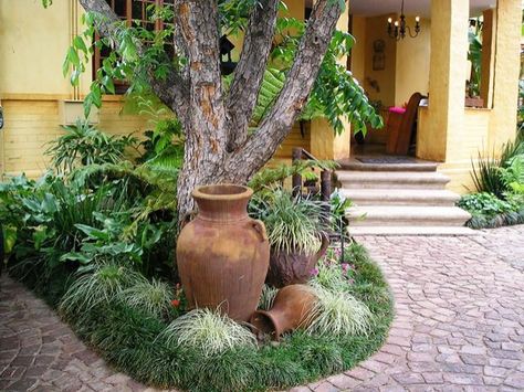 Garden Ideas South Africa, Townhouse Garden, Front Yard Design, Focal Points, Love Garden, Small Space Gardening, Small Garden Design, Garden Features, Desert Landscaping