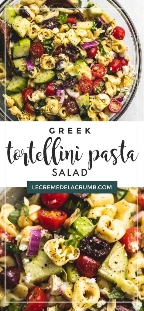 Tortilini Pasta Salad, Greek Lemon Dressing, Greek Tortellini Pasta Salad, Salad Tortellini, Greek Tortellini, Summer Potluck Dishes, Pasta Tortellini, Greek Tortellini Salad, Tortellini Pasta Salad