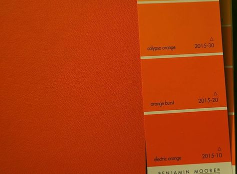 Shades of orange for wall color Cream Wall Color, Orange Wall Paint, Orange Bookshelves, Orange Painted Walls, Burnt Orange Paint, Good Living Room Colors, Orange Paint Colors, Wall Color Combination, Orange Rooms