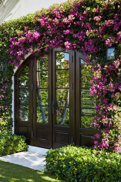 Large Set of Arched Wooden Doors Surrounded by Bougainvillea Out Doors Design Garden, Bungalow Garden, Outdoor Gate, Beach Bungalow, Outdoor Living Design, Casa Vintage, التصميم الخارجي للمنزل, Beach Bungalows, Design Exterior