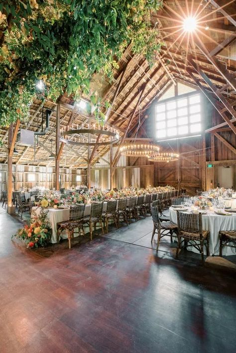 Barn Wedding Reception With Chandeliers at Santa Lucia Preserve in Carmel Valley, California Santa Lucia Preserve Wedding, Carmel By The Sea Wedding Venues, Carmel Valley Wedding, Redwood Wedding California, Santa Lucia Preserve, Cocktail Hour Decor, Carmel Weddings, Romantic Rustic Wedding, Barn Wedding Reception