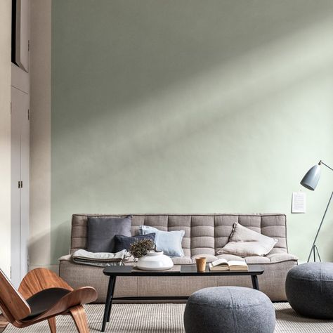 Tranquil Dawn named Colour of the Year for 2020 Tranquil Dawn, Paint Color Trends, Spiced Honey, Paint Your House, Trending Paint Colors, Calming Spaces, Living Room Grey, Interior Trend, Living Room Paint