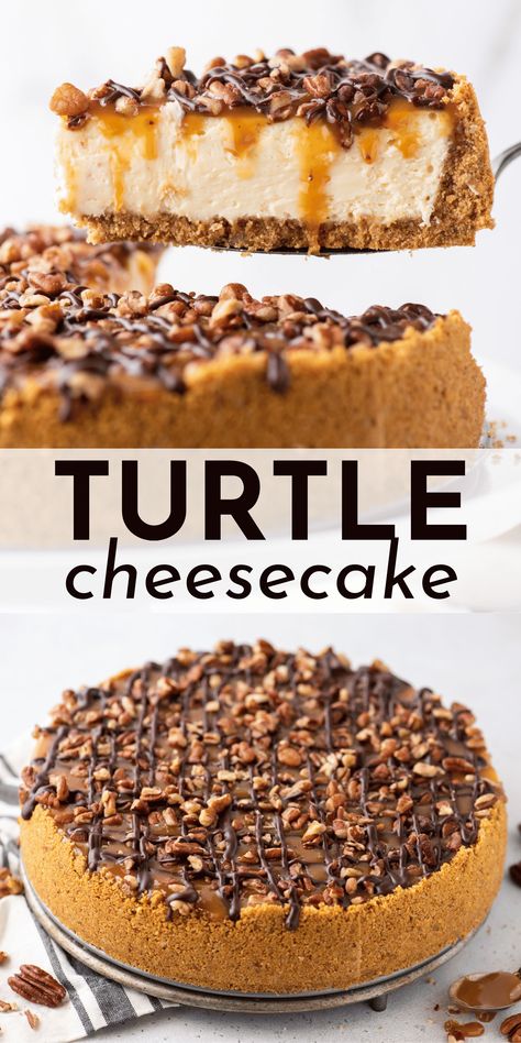 Even if you’ve never baked before, you will become a turtle cheesecake pro when you follow my easy step-by-step recipe and learn my tips for baking a cheesecake in a water bath. Your friends and family will RAVE about this turtle cheesecake recipe! No Bake Turtle Cheesecake Recipes, Instant Pot Turtle Cheesecake, Cheesecake Recipes Turtle, Turtle Cheesecake Recipe Easy, Chocolate Turtle Cheesecake, Ultimate Turtle Cheesecake Recipe, Turtle Cheesecake Recipe, Turtle Dessert, Dessert List