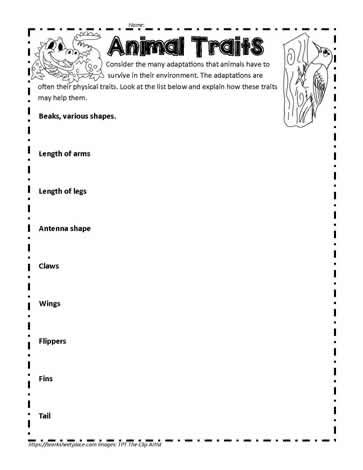 Animal Traits Inherited Traits, Animal Traits, Physical Traits, Elementary Stem Activities, Ngss Science, Intervention Specialist, Animal Adaptations, Classroom Anchor Charts, Learned Behaviors