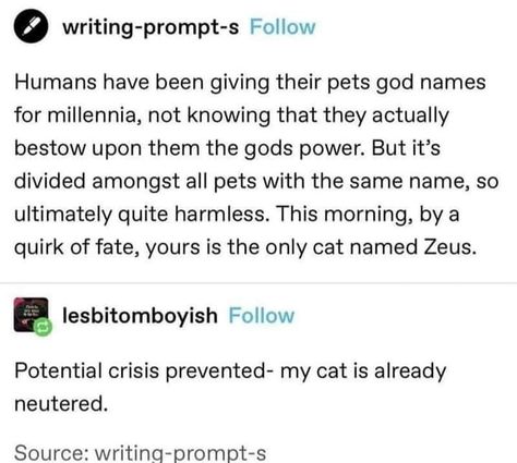 Greek Mythology Humor, Funny Fails, Writing Inspiration, Tumblr Posts, Tumblr Funny, Funny Posts, Percy Jackson, Writing Tips, Writing Prompts