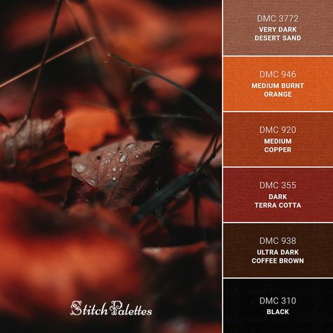 Fall Paint Palette, Fall Color Palette With Black, Black Brown Orange Color Palette, Samhain Color Palette, Autumn Leaf Color Palette, Terra Cotta Color Palette Bedrooms, Black And Orange Color Palette, Burnt Umber Color Palette, Dark Orange Room