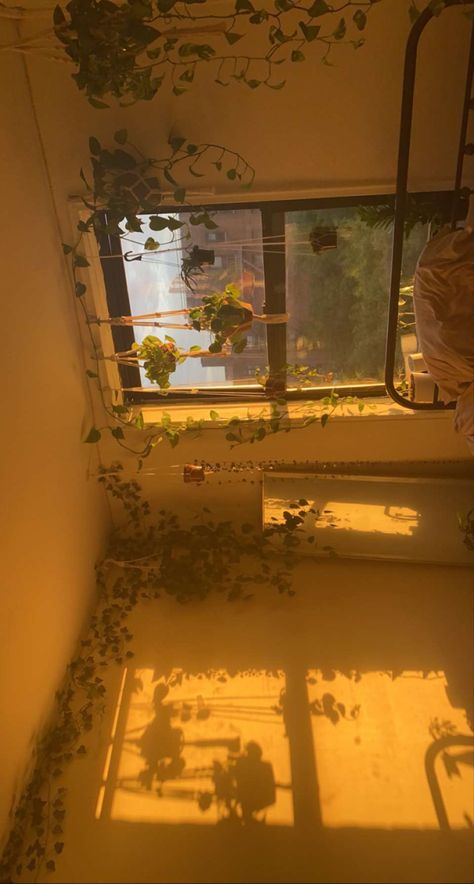 Plant Bedroom ideas, plants, bedroom, golden hour, sunrise bedroom inspo, aesthetic, houseplants, plant curtain Golden Hour Room Aesthetic, Golden Hour Bedroom Aesthetic, Yellow Ethereal Aesthetic, Sunlit Room Aesthetic, Golden Hour Bedroom, Golden Room Aesthetic, Bedroom Golden Hour, Golden Hour Aesthetic Wallpaper, Plant Bedroom Ideas