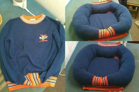 Diy Dog Blankets, Chew Proof Dog Bed, Chat Diy, Diy Pet Bed, Old Sweatshirt, Upcycling Diy, Diy Dog Bed, Diy Upcycling, Dog Crafts