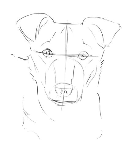 Dog sketch Dog Face Drawing, Dog Drawing Tutorial, Draw A Dog, How To Sketch, Dog Sketch, Soyut Sanat Tabloları, Drawing Supplies, Art Instructions, Learn How To Draw