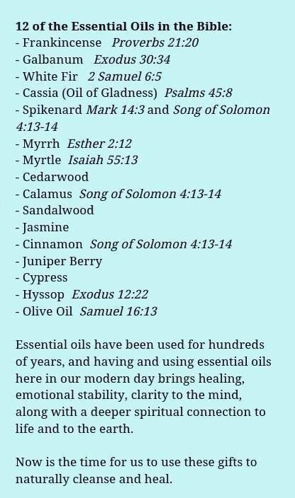 EOs of the Bible Anointing Oil Prayer Recipe, Diy Anointing Oils, Biblical Herbalism, Biblical Oils, Oils Of The Bible, Anointing Oil Prayer, Christian Witch, Torah Study, Anointing Oil