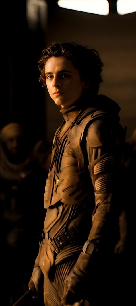 Paul Atreides Part 2, Paul Atreides Dune Part 2, Dune Exposures, Dune 2 Aesthetic, Dune Aesthetic, Dune Film, Paul Atreides, One Step Beyond, Timothee Chalamet