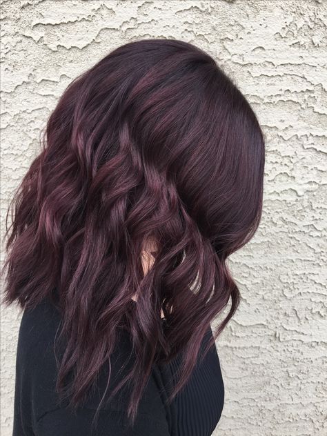 Deep plum balayage Medium Plum Brown Hair, Deep Violet Raspberry Balayage, Plum Hair Short, Aubergine Highlights, Plum Hair With Blonde Highlights, Plum Balayage Hair, Deep Plum Hair Color, Plum Balayage, Plum Highlights