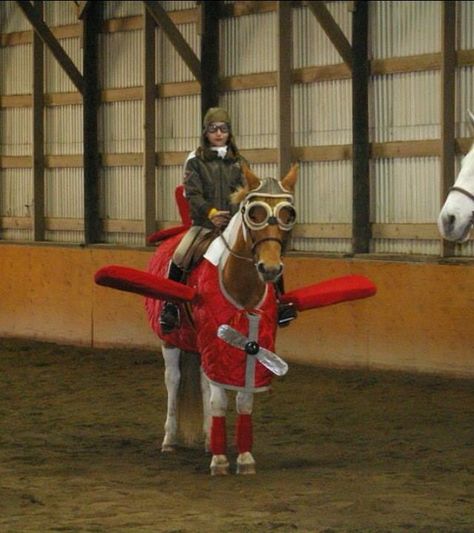 22 Costumes That Prove Horses Always Win At Halloween 2 Horse Halloween Ideas, Horse Halloween Costumes, Cowgirl Outfit, Horse Costumes, Horse Dress, Halloween Express, Hallowen Costume, Horse Crafts, Mini Horse