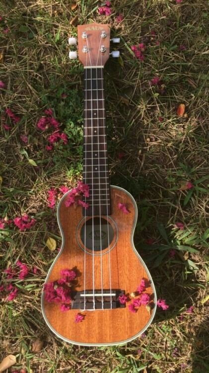 Ukulele Tumblr, Aesthetic Ukulele, Ukulele Pictures, Learn Ukulele, Music Silhouette, Ukulele Photography, Instruments Guitar, Arte Jazz, Music Photoshoot