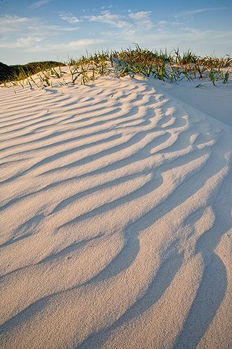 Mustang Island Texas... Probably one of my favorite place in the world! So many great memories there. Mustang Island Texas, Texas Beaches, Mustang Island, Texas Places, Texas Roadtrip, Island 2, Texas Travel, Summer Travel, Vacation Spots