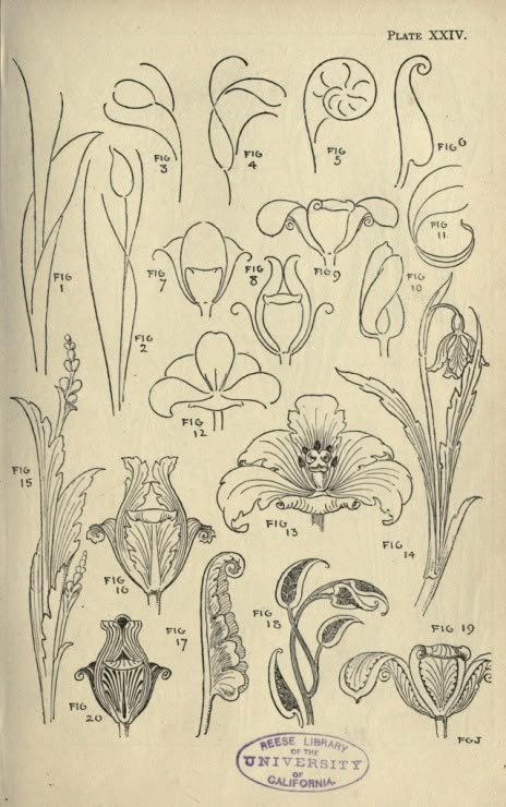 Flower Anatomy, Nouveau Tattoo, Ornament Drawing, Art Nouveau Floral, Plant Illustration, Old Book, Anatomy Art, Floral Illustrations, Decorative Art