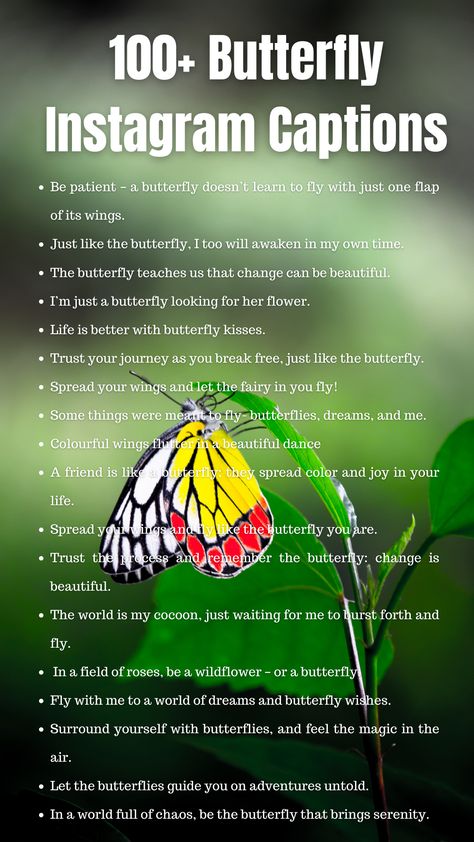 Butterfly Instagram Captions Caption For Butterfly Photo, Captions For Butterfly Pictures, Butterfly Captions Instagram, Butterfly Aesthetic Quotes, Tattoo Captions For Instagram, Captions For Instagram Cute, Captions For Selfies, Cute Short Quotes, Kindness Ideas