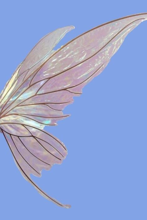 Ig Fillers, Fairy Wings Drawing, Faerie Wings, Clary Y Jace, Elf Drawings, Pixie Wings, Fairy Tattoo Designs, Fairy Wallpaper, Wings Drawing