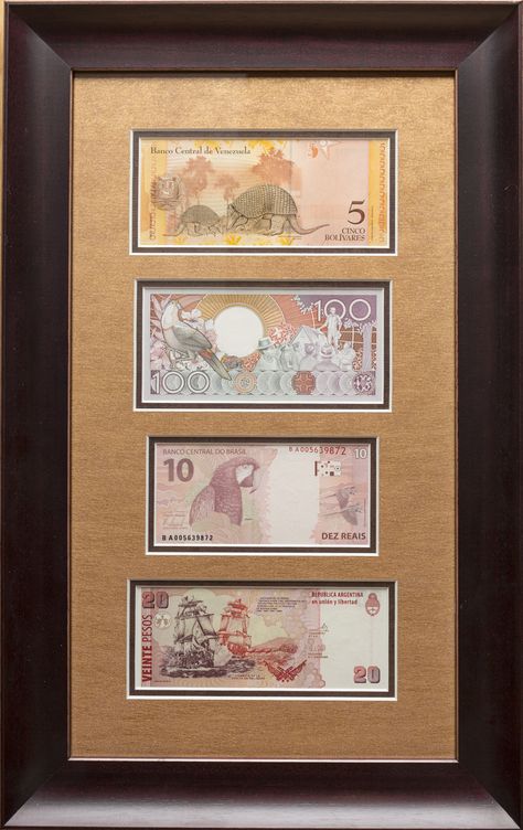 South American Framed banknotes.  We framed the set emphasizing the lush orange and brown colors, highlighting the warm and exotic imagery of the notes. Framed Memories, Old Currency, Money Frame, Coin Frame, Travel Inspired Decor, Banknote Collection, Global Decor, Pallet Ideas Easy, Money Collection