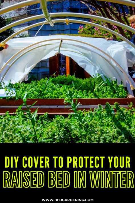 Floating Row Covers Diy, Diy Row Covers Vegetable Garden, Smart Gardening, Cold Frames, Vegetable Garden Tips, Row Covers, Cold Frame, Raised Bed, Vegetable Gardening