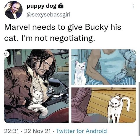 What If Bucky Barnes, Bucky Barnes Cat, Bucky Barnes Meme Funny, Cute Bucky Barnes, Bucky Barnes Images, Bucky Barnes Fanart Cute, Comic Bucky Barnes, Funny Bucky Barnes, Bucky Barnes Cute