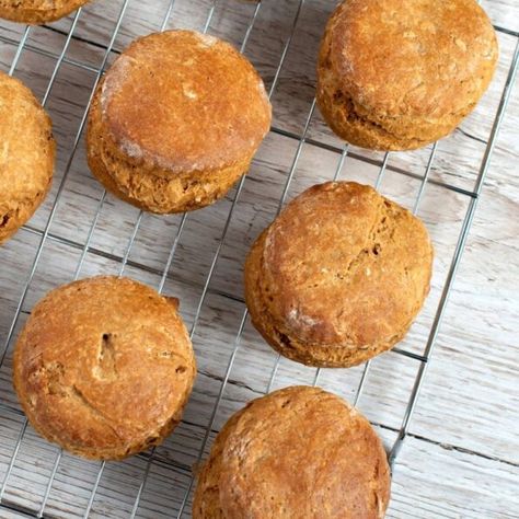 Mary Berry Treacle Scones Treacle Scones Recipe, Treacle Scones, Coconut Icing, Toast In The Oven, Tray Bake Recipes, Desiccated Coconut, Tray Bake, Custard Powder, Coconut Custard