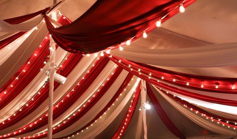 Swag and Lighting Circus Lighting, Club Halloween Party, Carnival Snacks, Circus Lights, Haunted Circus, Carnival Tent, Haunted Carnival, Circus Aesthetic, Ceiling Draping