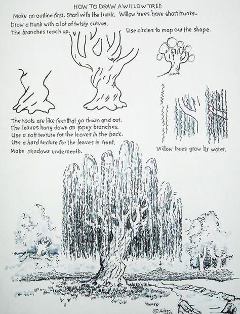 Draw A Tree, A Willow Tree, Landscape Drawings, Tree Drawing, Art Instructions, Willow Tree, Urban Sketching, Drawing Lessons, Chiaroscuro