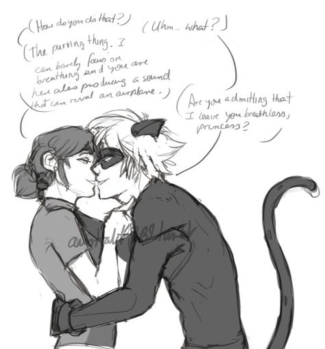 Marichat Fanart, Ladybug E Catnoir, Marinette Ladybug, Miraculous Ladybug Memes, Miraculous Ladybug Fanfiction, Ladybug Anime, Marinette And Adrien, Miraculous Ladybug Fan Art, Miraculous Ladybug Funny