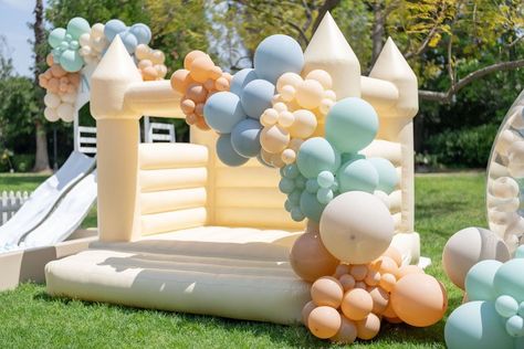 Petter Rabbit Theme 1st Birthday — Event Du Jour Rabbit Theme, Themed 1st Birthday, Event Business, Birthday Event, Flower Boutique, Soft Play, Bounce House, Party Rentals, Wedding Events