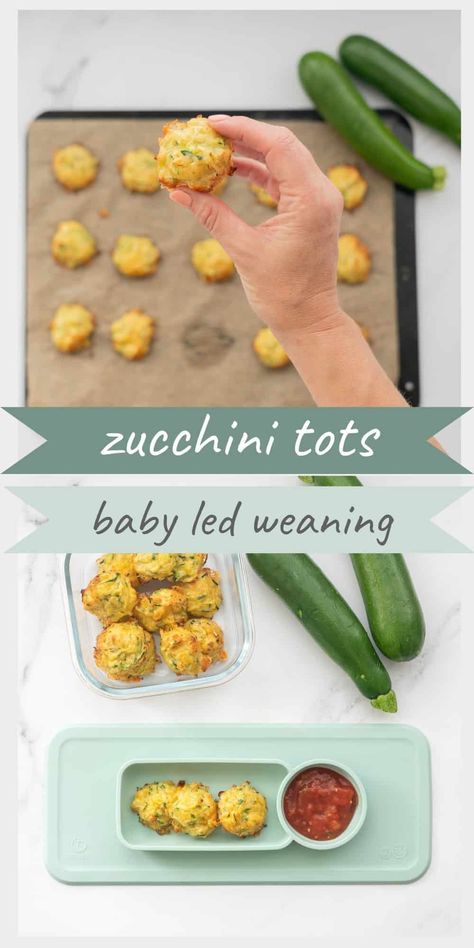 Zucchini Tots, Weaning Foods, Zucchini Bites, Baby Led Feeding, Easy Baby Food Recipes, Snack Lunch, Baby Led Weaning Recipes, Healthy Baby Food, Tracker Free