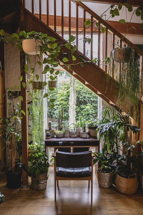 Forest Retreat, Plant People, Jungle Room, Plant Decor Indoor, Indoor Jungle, Plants Indoor, Welcome To The Jungle, House Plants Indoor, Indoor Plant