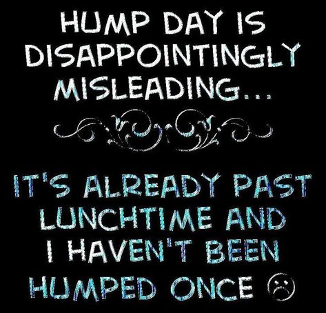 Friday Drinking Quotes, Hump Day Meme, Hump Day Quotes, Wednesday Hump Day, Hump Day Humor, Funny Drinking Quotes, Wednesday Humor, Minions Funny Images, Funny Sports Pictures