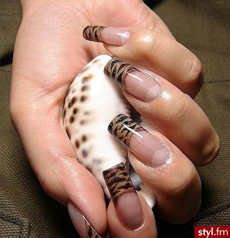 nails-everything Tiger Stripe Nails, Tiger Nails, Zebra Print Nails, Acrylic Nails At Home, Zebra Nails, Drip Nails, Leopard Nails, Really Cute Nails, Striped Nails