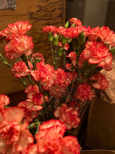 Photos Flowers, Red Carnation, Boquette Flowers, Pink Carnations, Nothing But Flowers, Carnation Flower, Flower Therapy, Beautiful Bouquet Of Flowers, Human Art