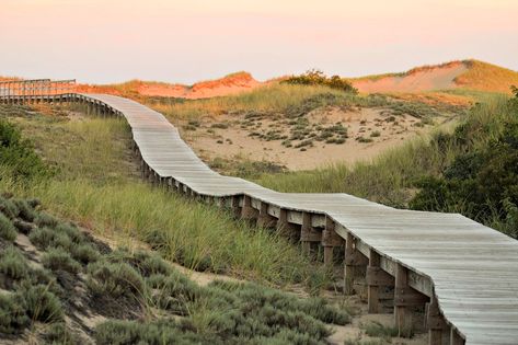 25 Things To Do in Newburyport and Plum Island with Kids Plum Island, Kids Things To Do, Family Destinations, Perfect Family, Travel Outdoors, In Boston, Outdoor Adventure, Outdoor Adventures, East Coast