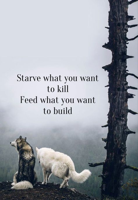 The Spirit Is Willing But The Flesh Is Weak, Walking In The Spirit Quotes, Spirit Of Offense, Flesh Vs Spirit, Galatians 5 16, Walk In The Spirit, Faith Is The Substance, Spirit Quotes, Quotes Prayer