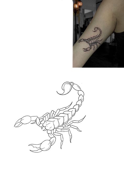 Scorpion Tattoo Stencil Outline, Linework Scorpion Tattoo, Scorpion Tattoo Linework, Scorpion Tattoo Design Simple, Japanese Scorpion Tattoo, Scorpion Tattoo Back, Scorpion Tattoo Outline, Simple Scorpion Tattoo, Scorpion Tattoo Stencil