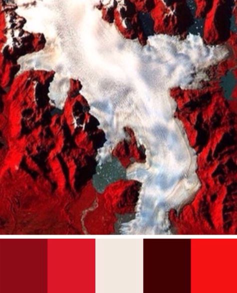 Red and white steam color palette Red And White Colour Palette, Red And White Color Palette, Skoolie Interior, Oxalis Versicolor, Red Contrast Color, Vermilion Color, Red Palette, Board Drawing, Medical Animation