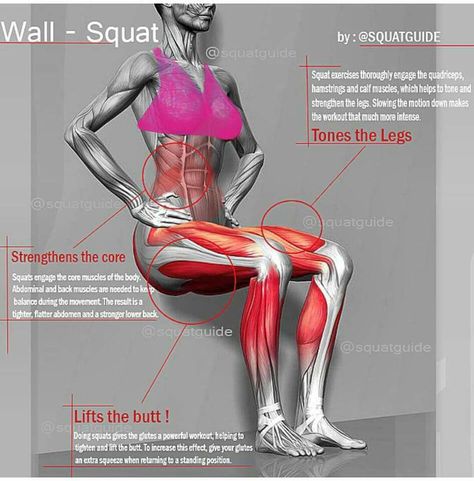 Wall sits Wall Squats, Different Squats, Wall Sit, Wall Squat, Wellness Challenge, Winter Wellness, Yoga Anatomy, Fat Burning Tips, Wall Sits