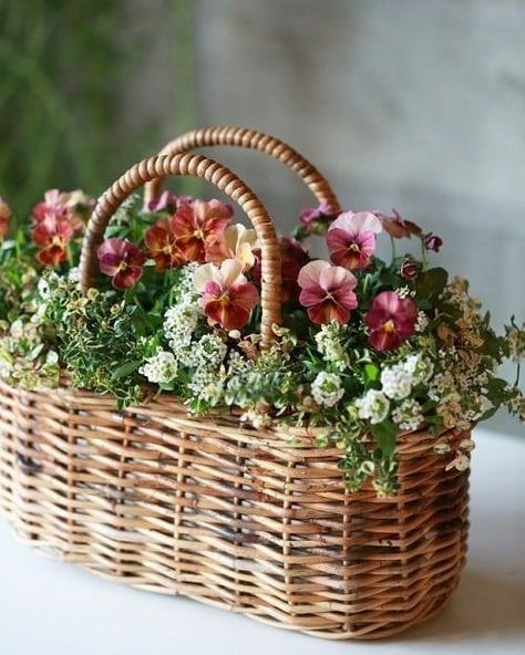 Basket With Flowers, Diy Arrangements, Container Gardening Flowers, Garden Containers, Beautiful Flower Arrangements, Deco Floral, Wicker Basket, Container Plants, Ikebana