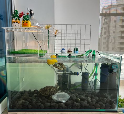 Small Turtle Tank Ideas, Red Ear Slider Turtle Tank Ideas, Red Eared Slider Turtle Habitat, Small Turtle Tank, Red Eared Slider Tank, Turtle Setup, Turtle Tank Ideas, Turtle Cage, Aquatic Turtle Tank